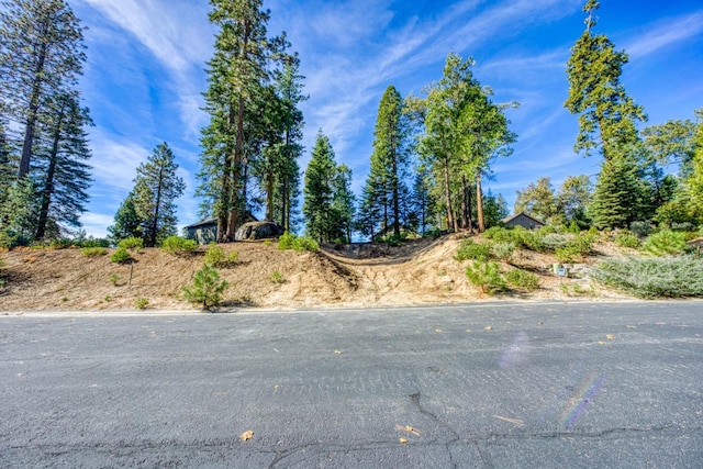 39541 Sunrock Ln, Shaver Lake, CA 93664 - photo 1