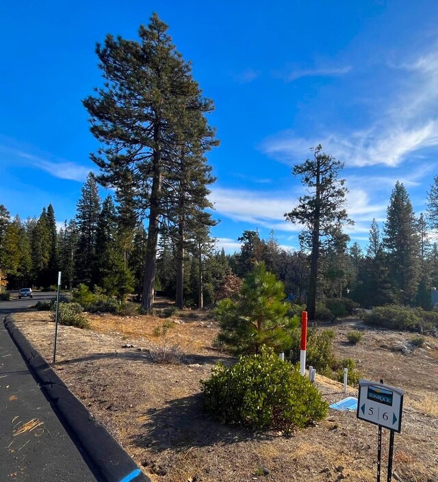 39516 Sunset Rock Ln, Shaver Lake, CA 93664 - photo 56