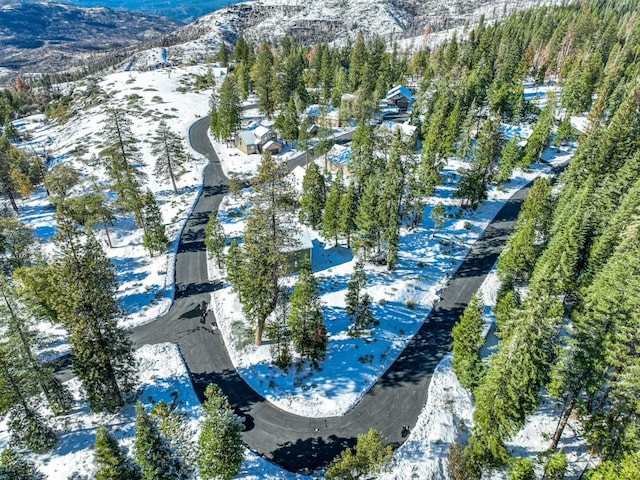 39516 Sunset Rock Ln, Shaver Lake, CA 93664 - photo 49