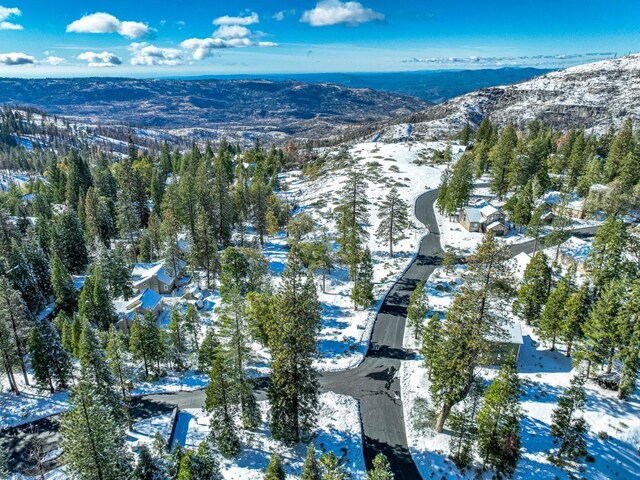 39528 Sunset Rock Ln, Shaver Lake, CA 93664 - photo 49