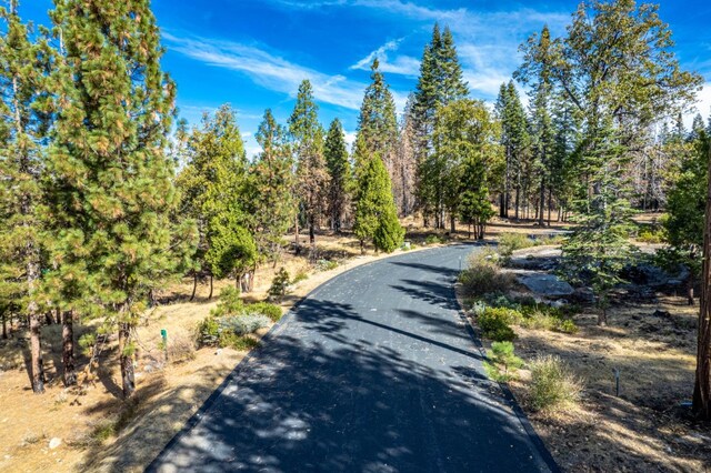39528 Sunset Rock Ln, Shaver Lake, CA 93664 - photo 44