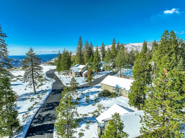 39528 Sunset Rock Ln, Shaver Lake, CA 93664 - photo 5