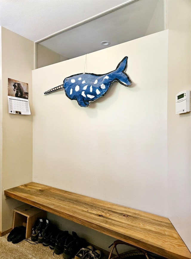 mudroom featuring carpet flooring