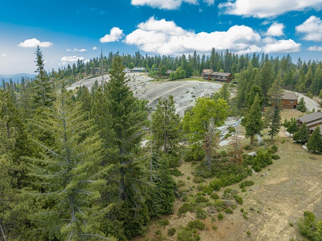 Listing photo 3 for 42096 Majestic Ln, Shaver Lake CA 93664