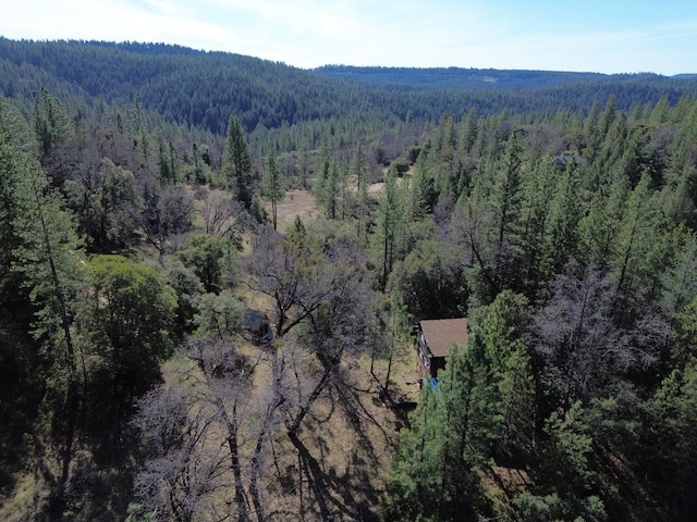 bird's eye view with a view of trees