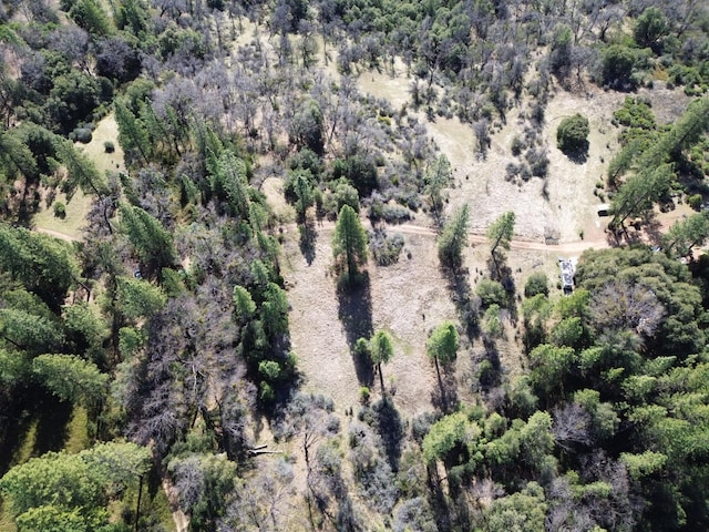 aerial view with a wooded view