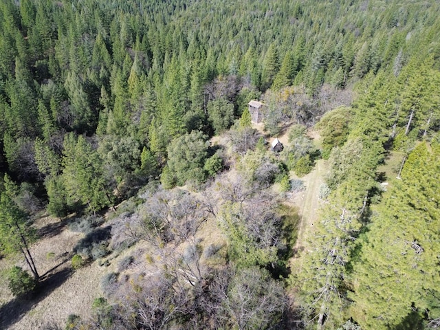 birds eye view of property with a forest view