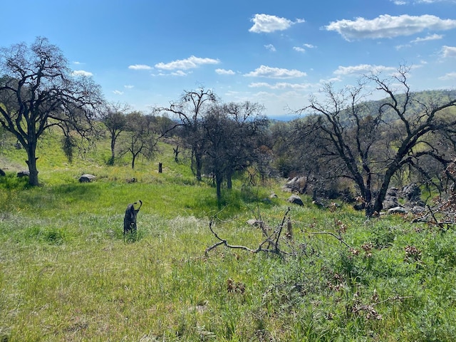 0 George Smith Rd, Yokuts Valley, CA 93675 - photo 29