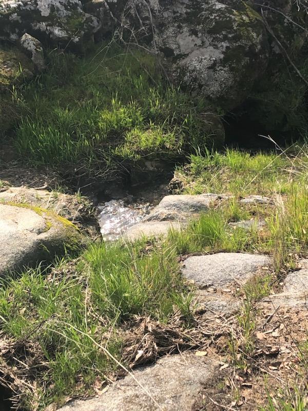 0 George Smith Rd, Yokuts Valley, CA 93675 - photo 23