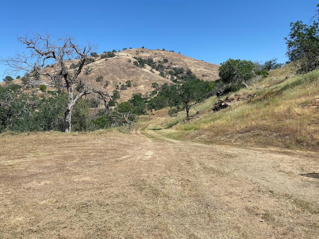 0 George Smith Rd, Squaw Valley CA, 93675 land for sale