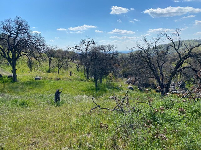 0 George Smith Rd, Yokuts Valley, CA 93675 - photo 64