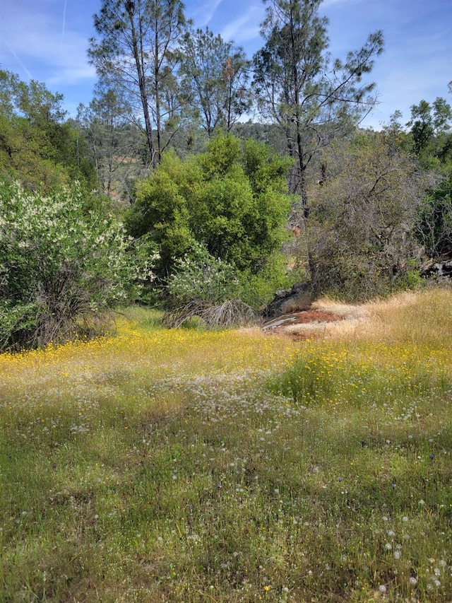 2 Limestone Cir, Coarsegold CA, 93614 land for sale