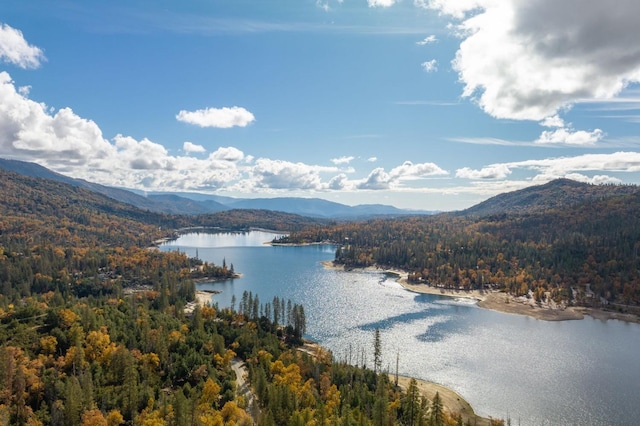 property view of water featuring a mountain view