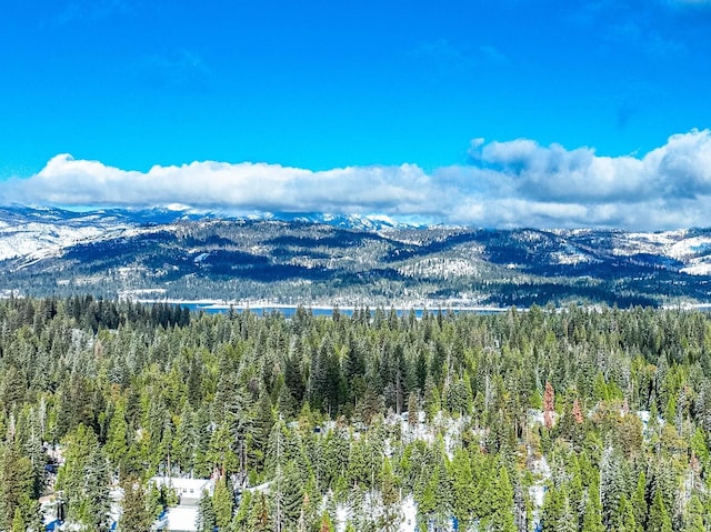 39616 Sunset Rock Ln, Shaver Lake, CA 93664 - photo 17