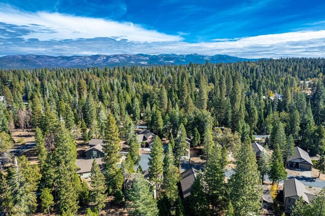 39616 Sunset Rock Ln, Shaver Lake, CA 93664 - photo 8