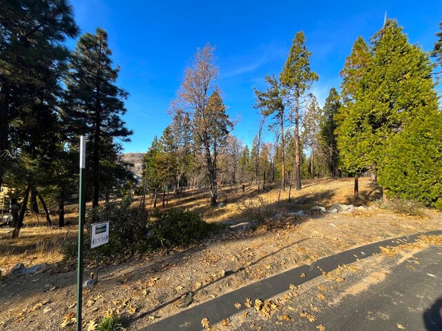 39616 Sunset Rock Ln, Shaver Lake, CA 93664 - photo 1