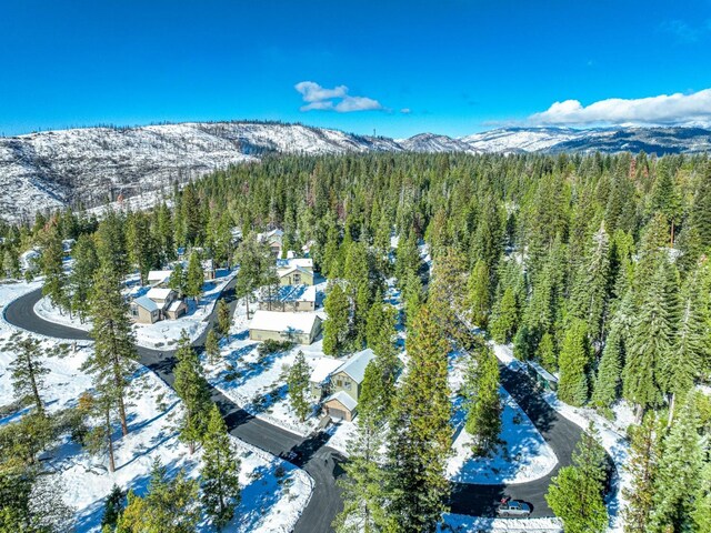39616 Sunset Rock Ln, Shaver Lake, CA 93664 - photo 19