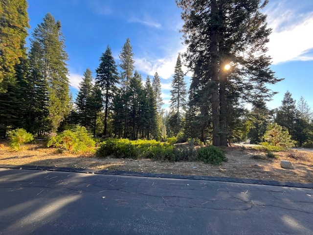 39496 Sunrock Ln, Shaver Lake CA, 93664 land for sale