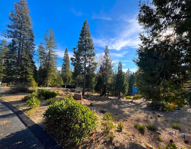 39494 Sunset Rock Ln, Shaver Lake CA, 93664 land for sale