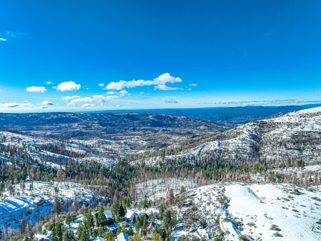39510 Sunrock Ln, Shaver Lake, CA 93664 - photo 21
