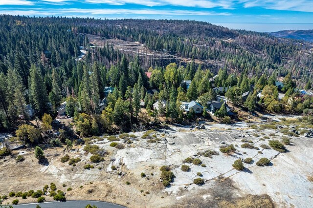 39510 Sunrock Ln, Shaver Lake, CA 93664 - photo 11