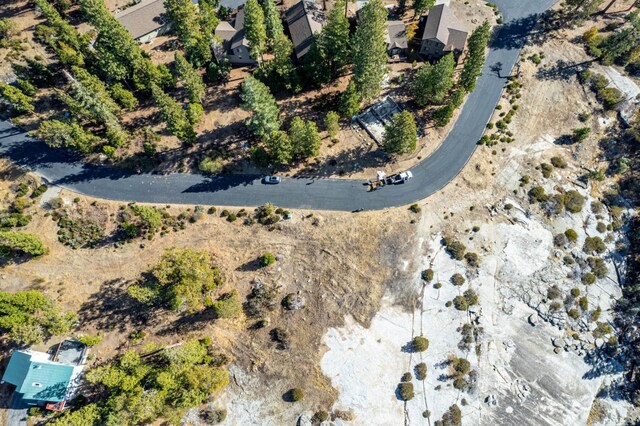 39510 Sunrock Ln, Shaver Lake, CA 93664 - photo 8