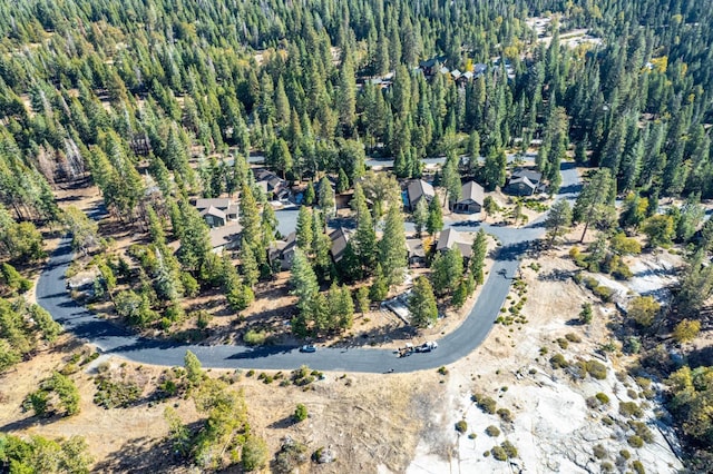 39510 Sunrock Ln, Shaver Lake, CA 93664 - photo 9
