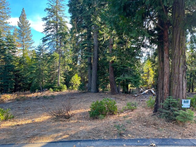 39510 Sunrock Ln, Shaver Lake, CA 93664 - photo 2