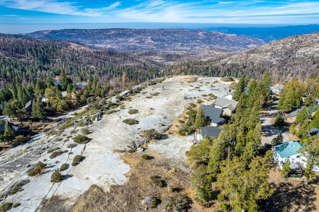 39510 Sunrock Ln, Shaver Lake, CA 93664 - photo 10