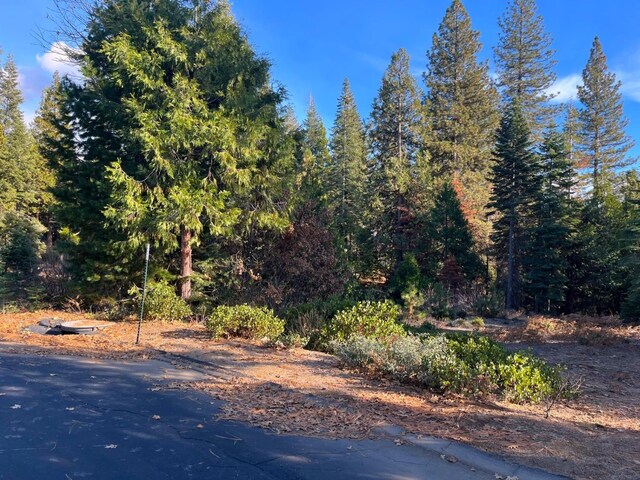 39510 Sunrock Ln, Shaver Lake, CA 93664 - photo 1