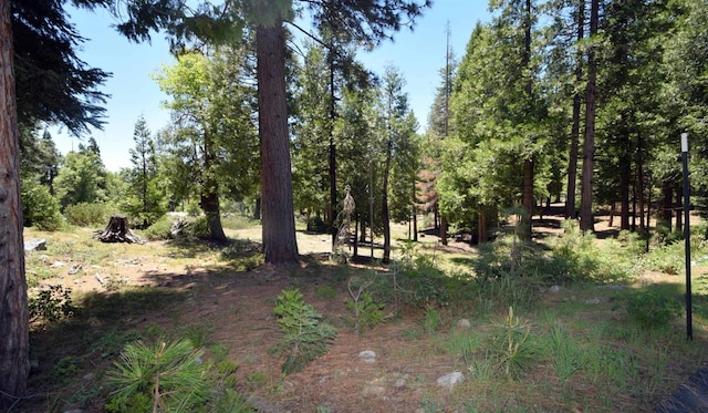 42436 Garnet Ln, Shaver Lake CA, 93664 land for sale