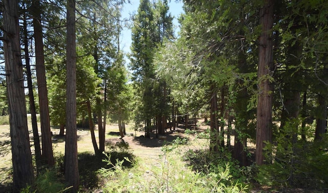 Listing photo 3 for 42436 Garnet Ln, Shaver Lake CA 93664