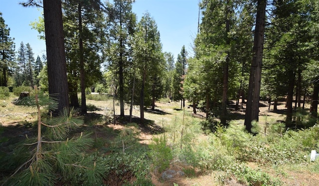 Listing photo 2 for 42436 Garnet Ln, Shaver Lake CA 93664