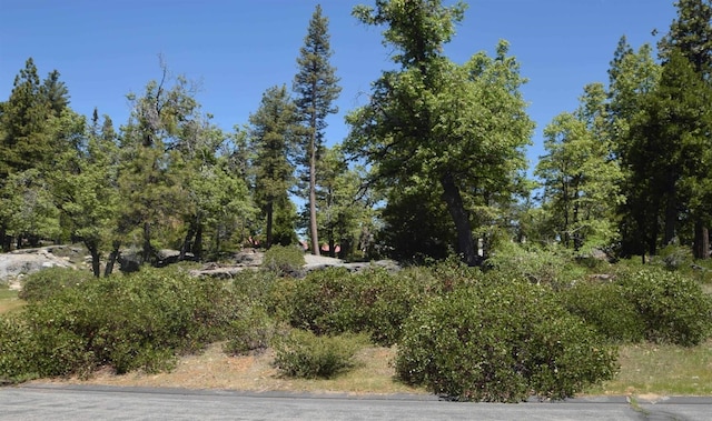 43006 Garnet Ln, Shaver Lake CA, 93664 land for sale