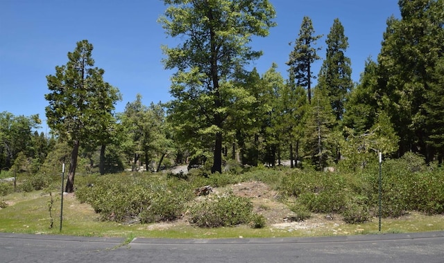 Listing photo 3 for 43006 Garnet Ln, Shaver Lake CA 93664