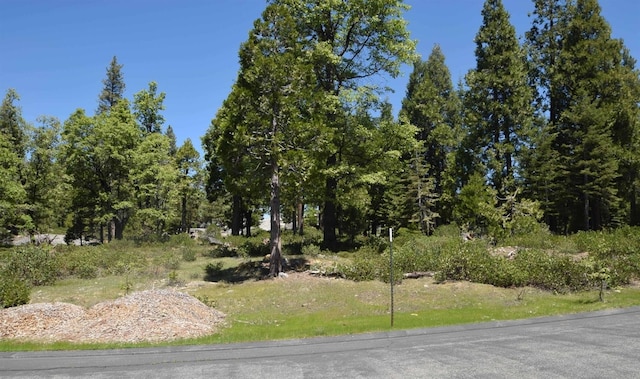 Listing photo 2 for 43006 Garnet Ln, Shaver Lake CA 93664