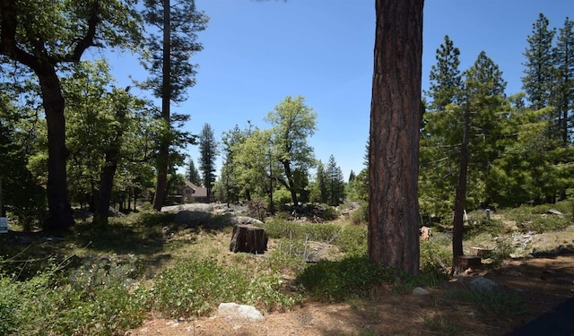 Listing photo 3 for 42782 Garnet Ln, Shaver Lake CA 93664