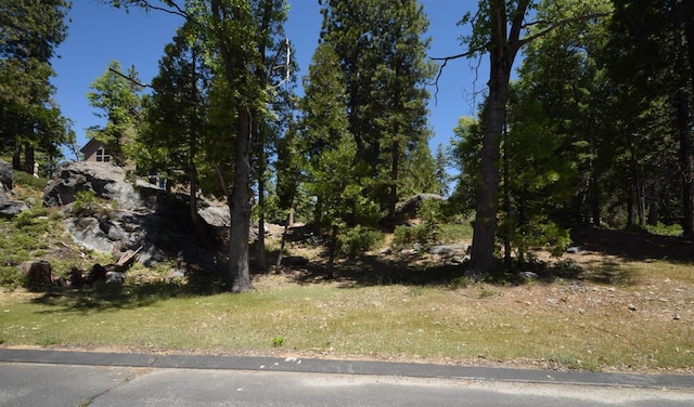 Listing photo 2 for 43327 Garnet Ln, Shaver Lake CA 93664