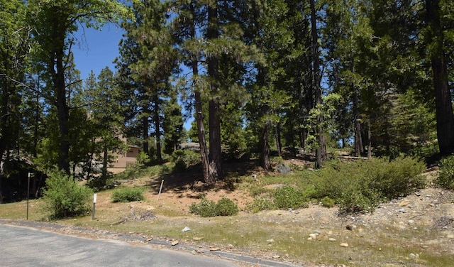 43327 Garnet Ln, Shaver Lake CA, 93664 land for sale