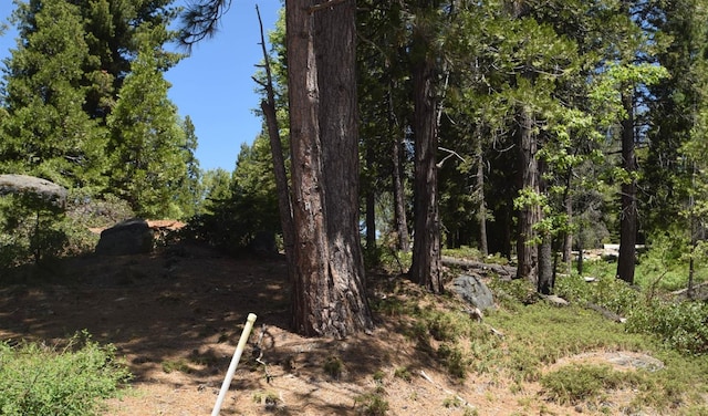 Listing photo 3 for 43327 Garnet Ln, Shaver Lake CA 93664