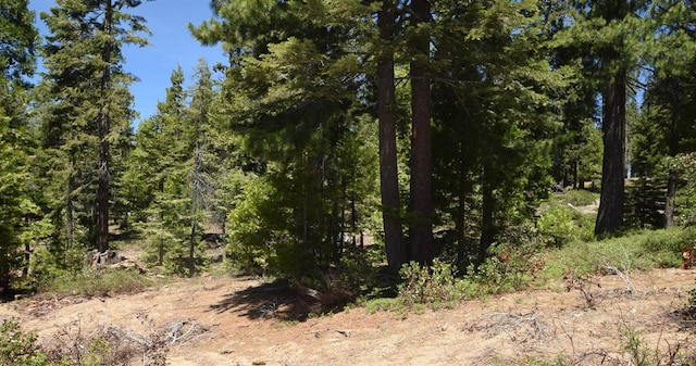 Listing photo 3 for 42137 Tourmaline Ln, Shaver Lake CA 93664