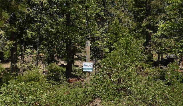 42137 Tourmaline Ln, Shaver Lake CA, 93664 land for sale