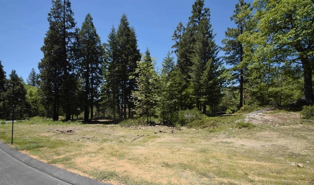 Listing photo 3 for 42884 Garnet Ln, Shaver Lake CA 93664