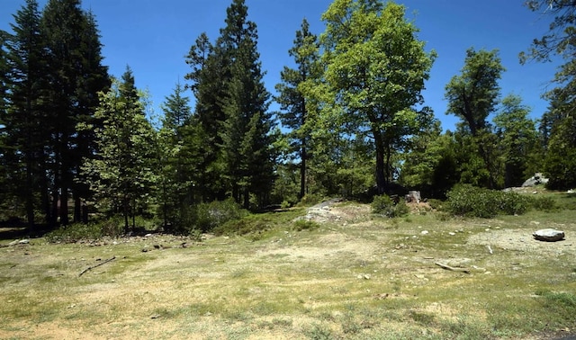 Listing photo 2 for 42884 Garnet Ln, Shaver Lake CA 93664