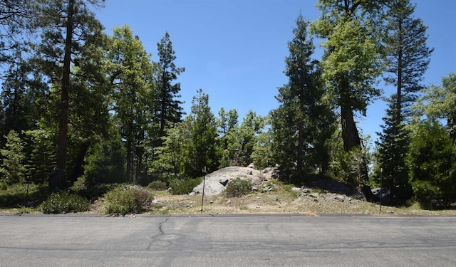 42884 Garnet Ln, Shaver Lake CA, 93664 land for sale