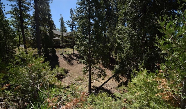 42568 Opal Ln, Shaver Lake CA, 93664 land for sale