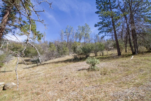 Listing photo 2 for 0 Peckinpah Acres Dr, North Fork CA 93643