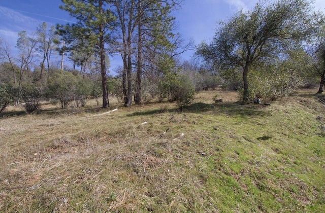 Listing photo 3 for 0 Peckinpah Acres Dr, North Fork CA 93643