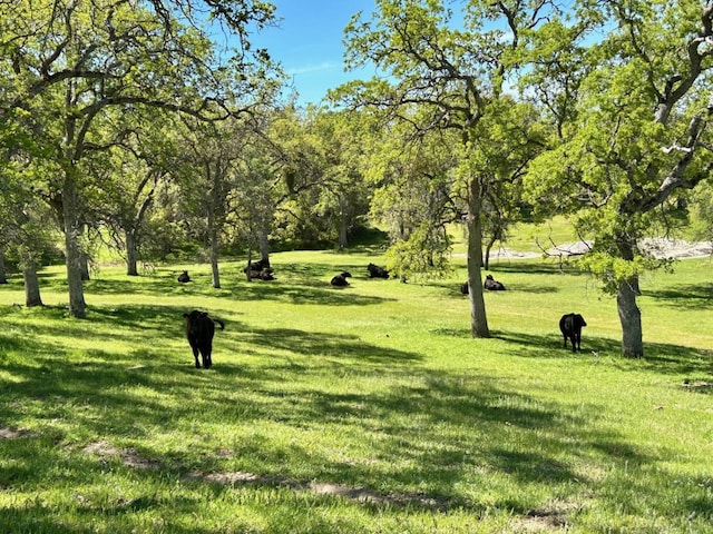 view of community with a yard and a rural view