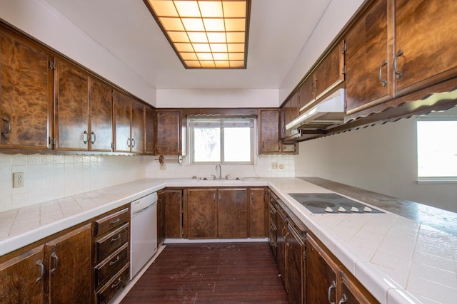 kitchen featuring dark hardwood / wood-style floors, electric cooktop, backsplash, white dishwasher, and dark brown cabinetry